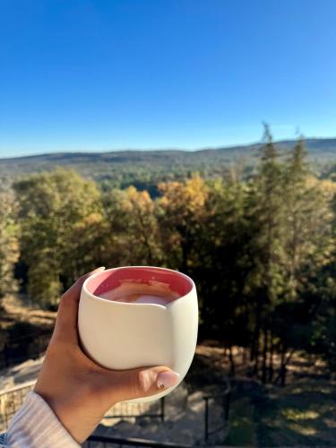 a hand holding a cup of tea with a view at Cabaña Colorata Residencial in Atemajac de Brizuela