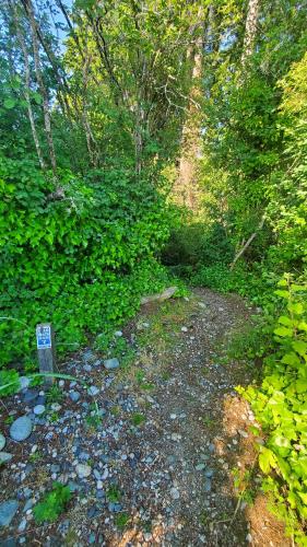 a trail in the woods with a sign on it at Haven Touchstone in Roberts Creek