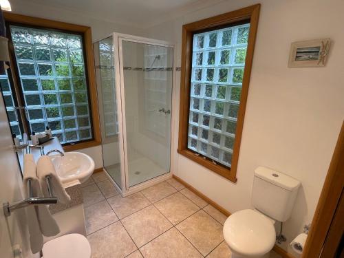 a bathroom with a toilet and a shower and a sink at Abs by the Bay in Taranna