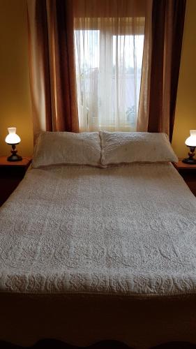 a bedroom with a bed with a window and two lamps at Pensiunea Diana in Arefu