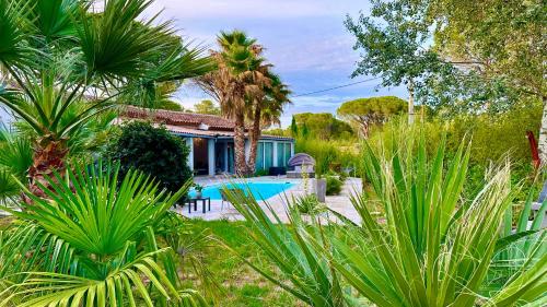 une maison avec un palmier et une piscine dans l'établissement studio indépendant dans villa avec piscine jacuzzi, à Vidauban