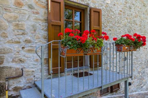 a window with red flowers on a balcony at Casa Marta in Pescaglia