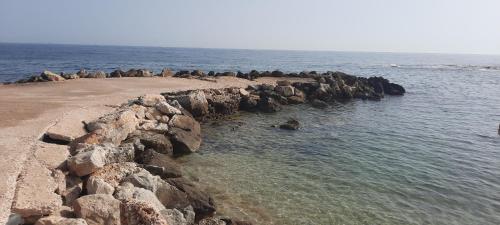a group of birds sitting on a rocky beach at Casa Neve al mare in Specchiolla 
