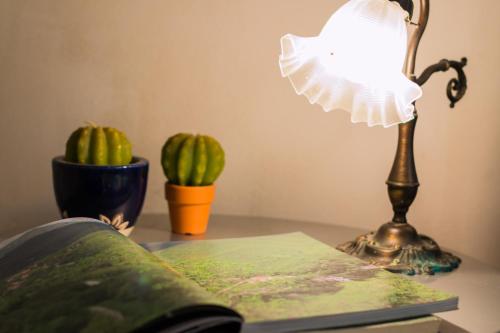 a lamp on a table with a book and a plant at Casa Marta in Pescaglia