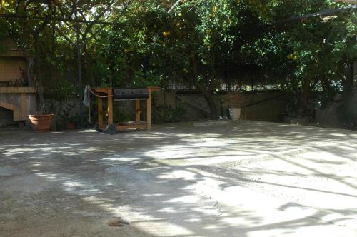 a shady yard with a tree and a fence at Mare - Mare B in Patra