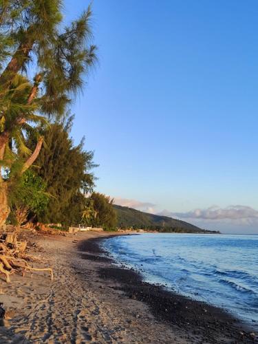 a beach with palm trees and the ocean at Tearai Iti in Paea