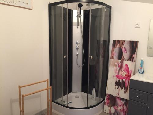 Raon-lʼÉtapeにあるUne étape à Raonのバスルーム(ガラス張りのシャワー付)が備わります。