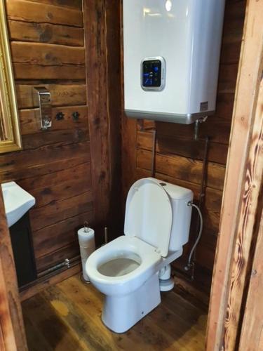 a small bathroom with a toilet and a sink at Auci Guest house 2 in Liepāja