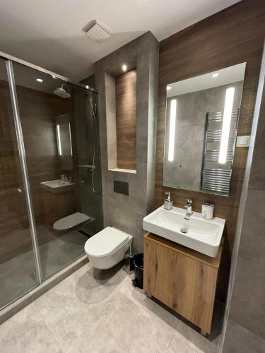 a bathroom with a toilet and a sink and a shower at Apartmani Didić Kalman Zlatibor in Zlatibor