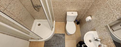 a small bathroom with a toilet and a sink at Palangos Kopa in Palanga