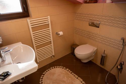 a bathroom with a sink and a toilet at Aparthotel AA in Sarajevo