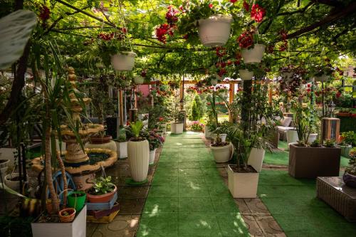 a greenhouse filled with potted plants and flowers at Aparthotel AA in Sarajevo