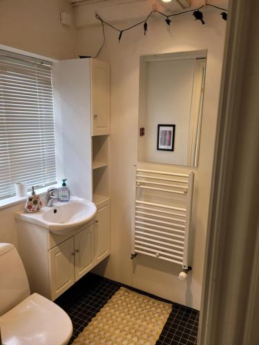 a bathroom with a sink and a toilet and a mirror at Skrædderens Baghus in Assens