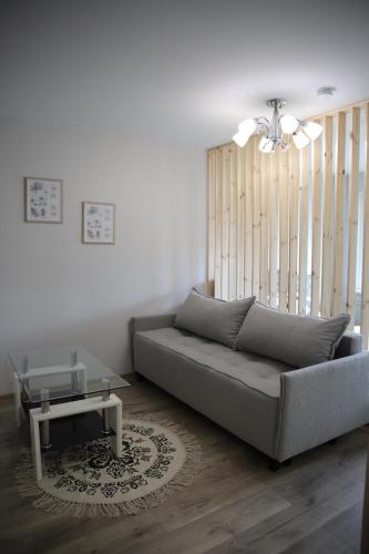 un soggiorno con un divano e un tavolo di Butterfly apartment a Šiauliai