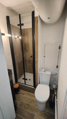 La salle de bains est pourvue de toilettes et d'une douche à l'italienne. dans l'établissement Studio Avenue de la muzelle ménage et draps inclus proche Belle étoile et Esf, à Les Deux Alpes