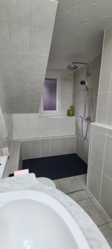 La salle de bains est pourvue d'une douche. dans l'établissement CasaMoro Albigny : détente à 2 pas du lac d'Annecy, à Annecy