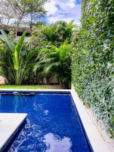 a swimming pool in front of a fence with trees at La Reserve Villa Tropicana in Pipa