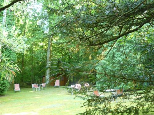 a group of chairs and tables in a forest at La Villa Bois Joli HOTEL RESTAURANT in Bagnoles de l'Orne