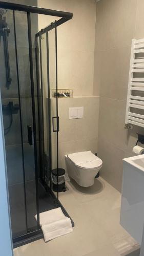 a bathroom with a toilet and a glass shower at Apartament Fauna- blisko morza in Gdańsk