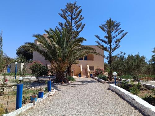 Gallery image of L'abri côtier de Dar Nezza in Sidi Kaouki