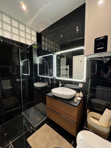 une salle de bain avec une douche, un lavabo et un miroir dans l'établissement Newly refurbished studio, à Nice