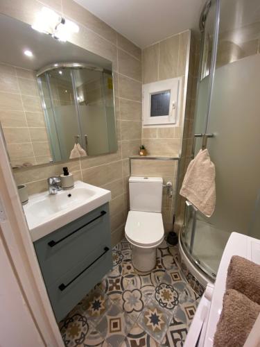 une salle de bain avec toilettes, lavabo et douche dans l'établissement Studio Hérold - Évasion avec Terrasse à Nice, à Nice