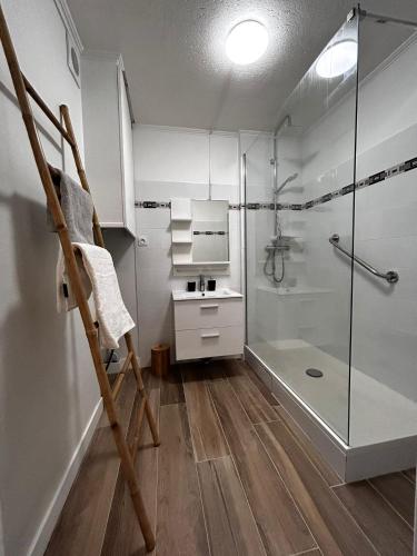 La salle de bains est pourvue d'une douche à l'italienne et d'une cabine de douche en verre. dans l'établissement Nid douillet à Frejus avec paking & loggia ensoleillée - Proche plages, à Fréjus