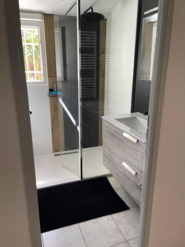 une salle de bain avec douche et lavabo dans l'établissement Residence du Grand Large, à Marseillan