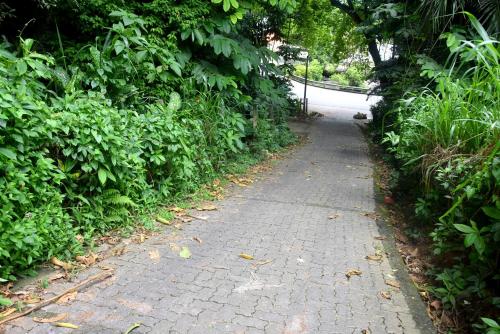 a brick path with trees on the side of a road at Insa Guest House Kandy in Kandy