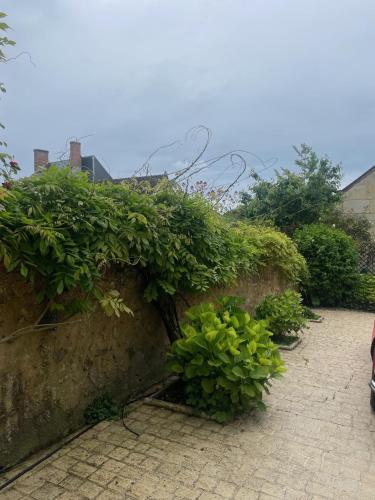 a stone wall with green plants on it at Le Gîte de Mc Adam in Lavardin