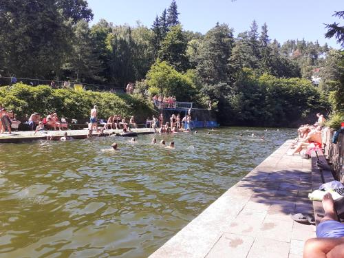 a group of people swimming in a pond at Penzion U Smrku Luleč in Lultsch