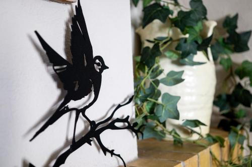 a bird on a wall next to a vase at Ballerina Bianca bed & breakfast in Grottazzolina