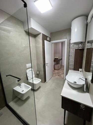 a bathroom with a sink and a toilet at Erlaiden Apartment in Shkodër