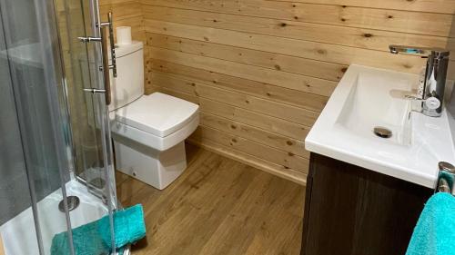 a bathroom with a toilet and a sink at MTB Jumps View Pod in Trawsfynydd