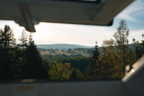 a view from a window of a forest with trees at Chata Lipinka in Strážnice