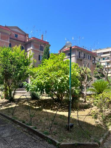 Home Rome