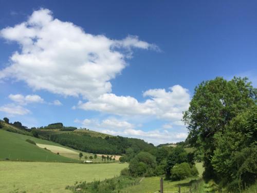 a green field with trees and a blue sky with clouds at Landidyll Hotel Haus Hochstein in Wenholthausen