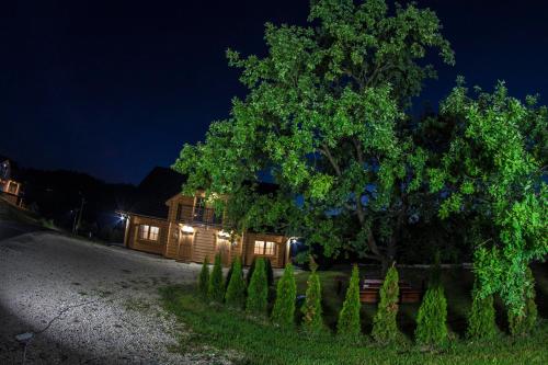a house with a tree in front of it at night at Chatka Pod Laskiem - Domki w górach in Soblówka
