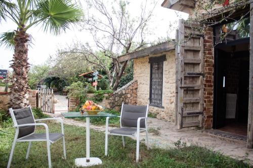a table and chairs in a yard with a palm tree at Dar Zaghouan in Zaghouan
