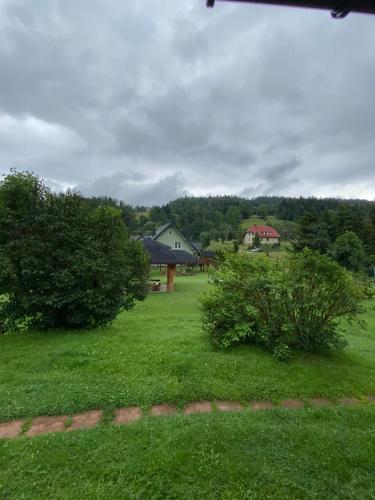 a yard with trees and a house in the background at Jelonek Zawoja in Zawoja