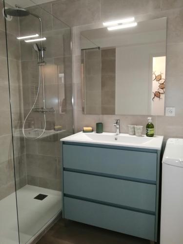 un baño con lavabo y ducha en appartement Plein Sud, en Auray