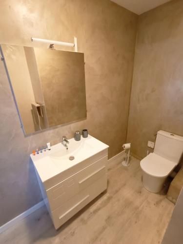 une salle de bain avec un lavabo, des toilettes et un miroir dans l'établissement Bas de maison proche côte bleue, à Martigues