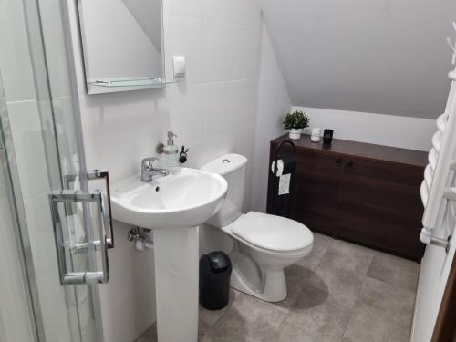 a bathroom with a white toilet and a sink at Zygi Ranch Noclegi in Ostrów Mazowiecka