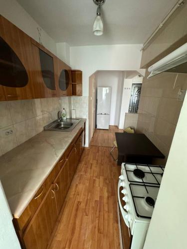 フネドアラにあるCozy apartment close to the city centreのシンクとコンロのあるキッチン トップオーブン