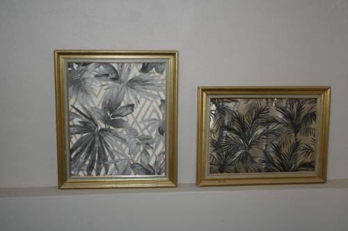 two framed pictures of plants on a shelf at Appartement ELYNE Quartier des Templiers à 400m de la mer in Saint-Raphaël
