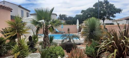 une cour avec des palmiers et une piscine dans l'établissement Chambre d'hôtes dans Villa Diane, à La Londe-les-Maures