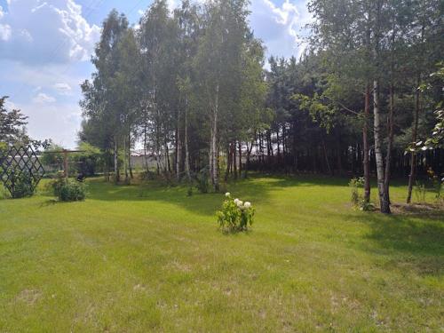 Jardín al aire libre en Stary Spichlerz nad Wartą