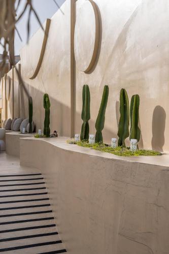 a row of cacti on a wall in a building at Natali Apartments by Estia in Malia