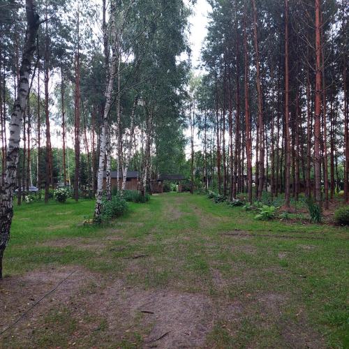 Jardín al aire libre en Stary Spichlerz nad Wartą