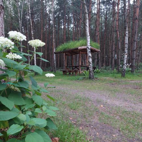 Jardín al aire libre en Stary Spichlerz nad Wartą